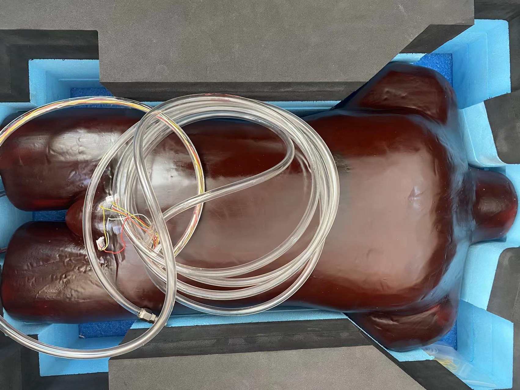 成人軀干模體-心肺運(yùn)動(dòng)軀干模體